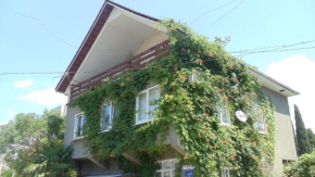 Guest house Udacha